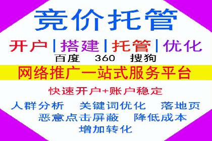SEM代运营机构成功案例：优化策略与效果分析