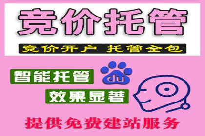 sem代运营公司成功案例：从零到一的营销策略构建